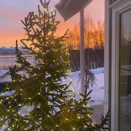 Plaza Di Balsnes Tromso
