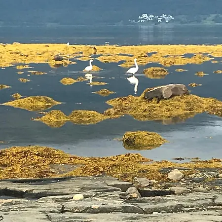 Plaza Di Balsnes 펜션