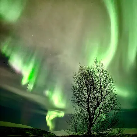 Plaza Di Balsnes Tromso